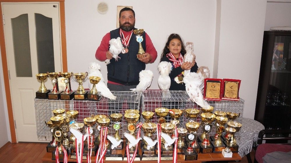 Ev araba parasına güvercin