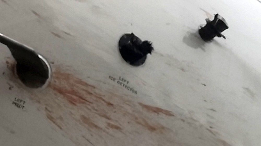 Kuş sürüsü içine giren THY uçağı acil iniş yaptı