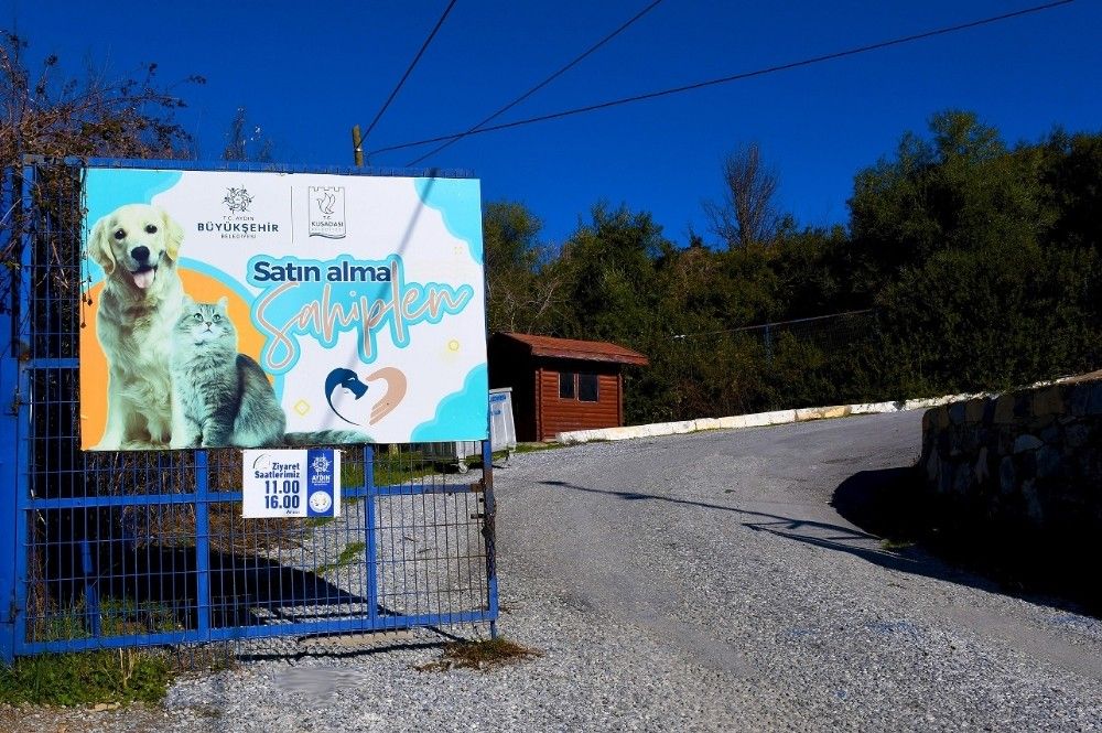 Kuşadası Hayvan Bakım Merkezi yenileniyor