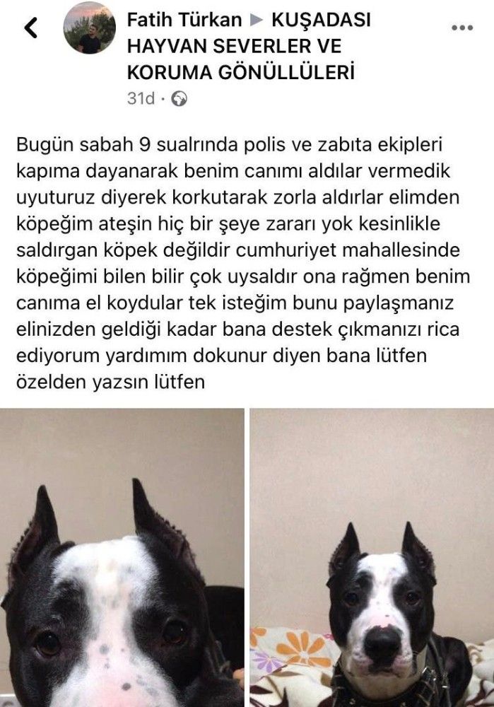 Kuşadası'nda "yasak ırk" tartışması