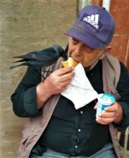 Omzuna konan kargayla birlikte döner yedi, ayran içti