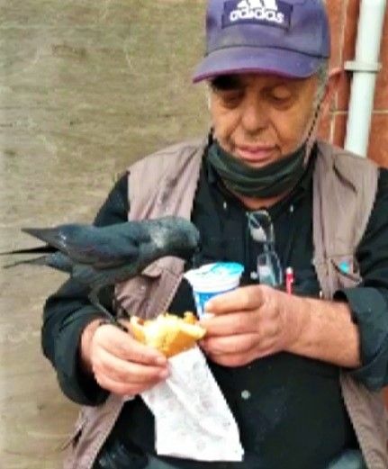 Omzuna konan kargayla birlikte döner yedi, ayran içti