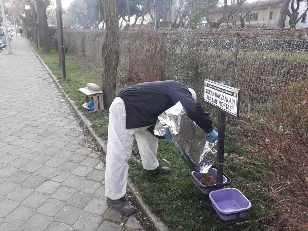Salihli'de sokak hayvanlarına mama desteği