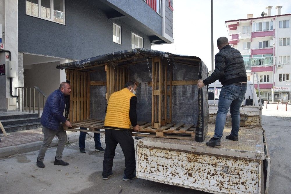 Sokak hayvanları için iç ısıtan hareket
