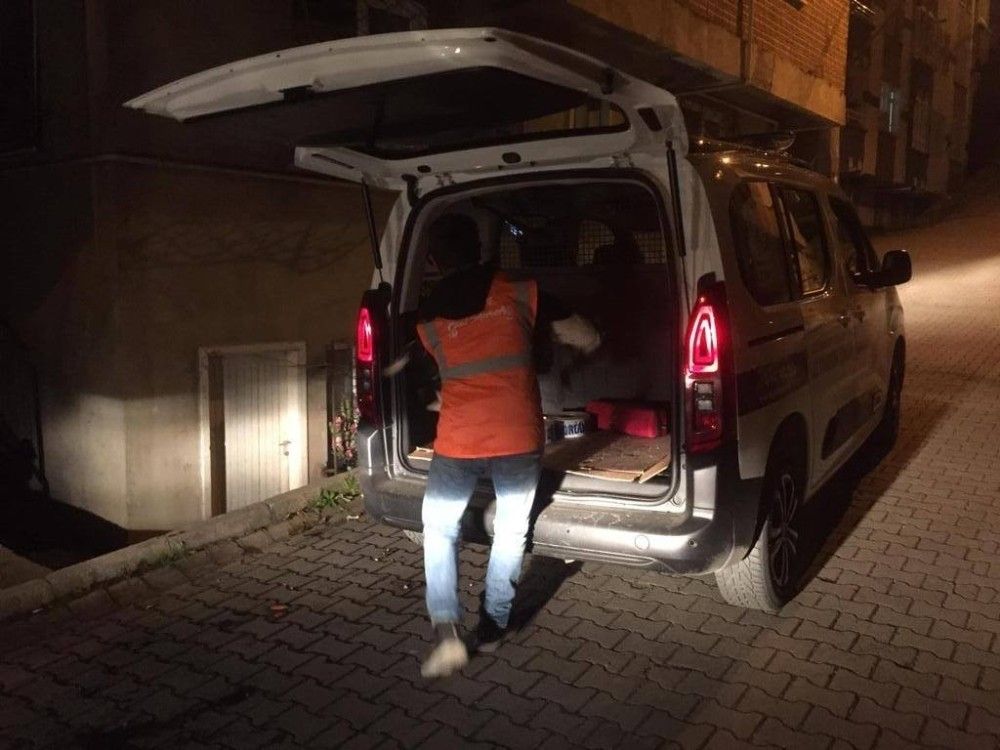 Sokakta bulunan köpeği, belediye başkanı sahiplendi