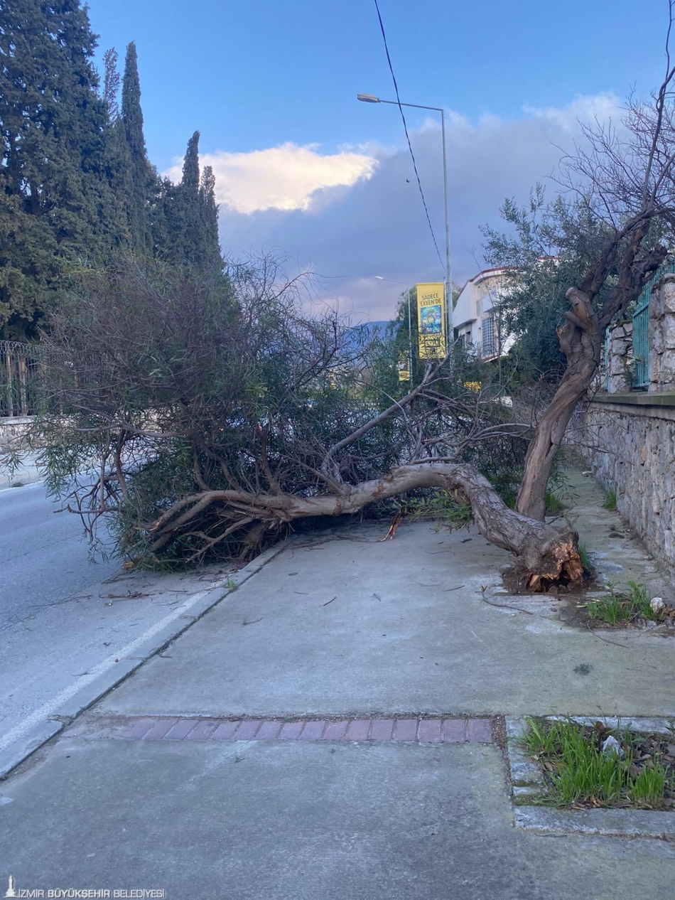 İzmir'de fırtınanın ağır bilançosu