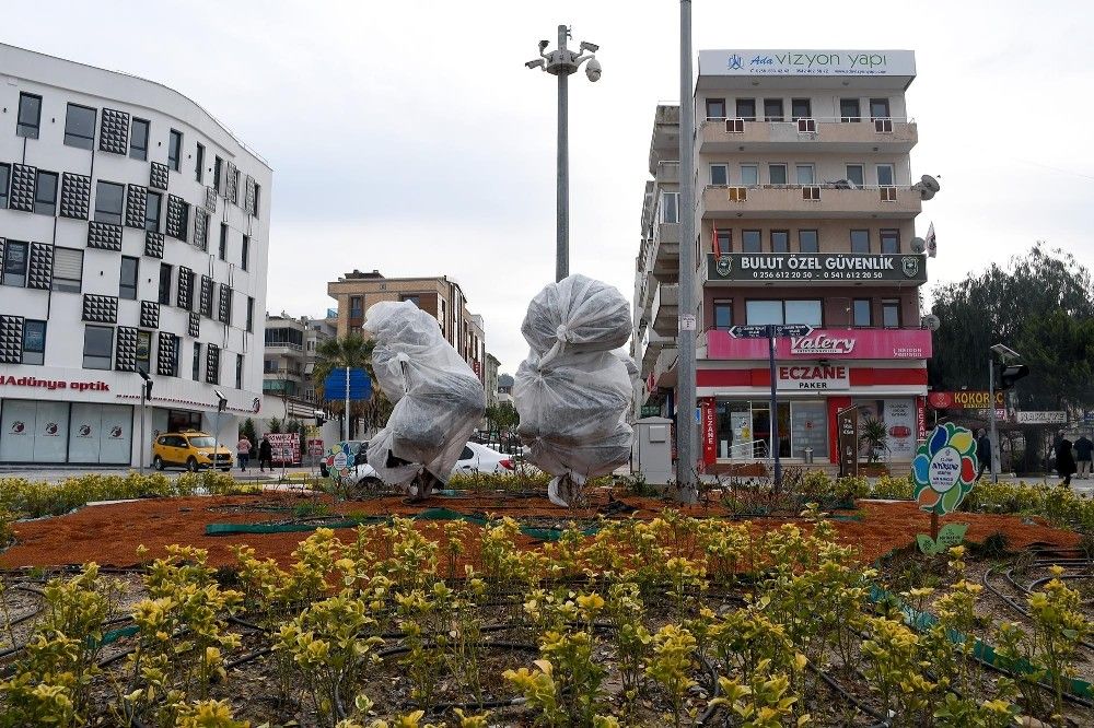 Ağaçları dona karşı elyafla korudular