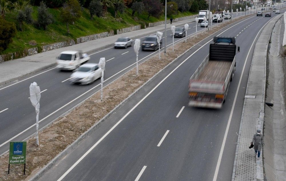 Ağaçları dona karşı elyafla korudular