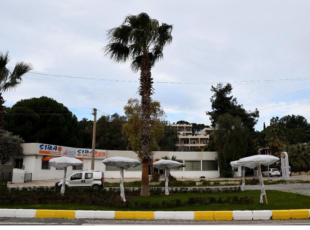 Ağaçları dona karşı elyafla korudular