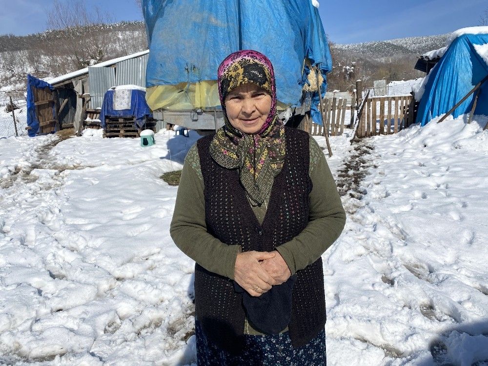 Ahırda dehşete düşüren manzara