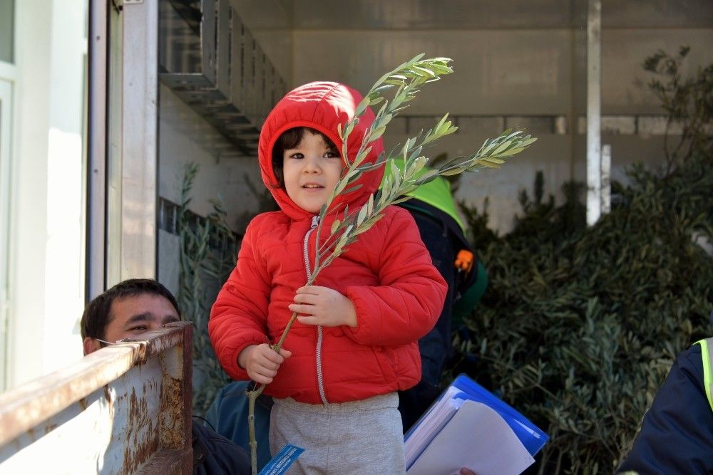 Aliağa Belediyesinin zeytin fidanı dağıtımları sürüyor