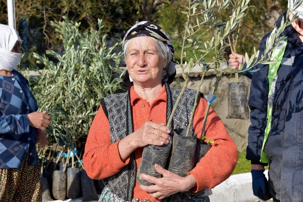 Aliağa'da zeytin şöleni sürüyor