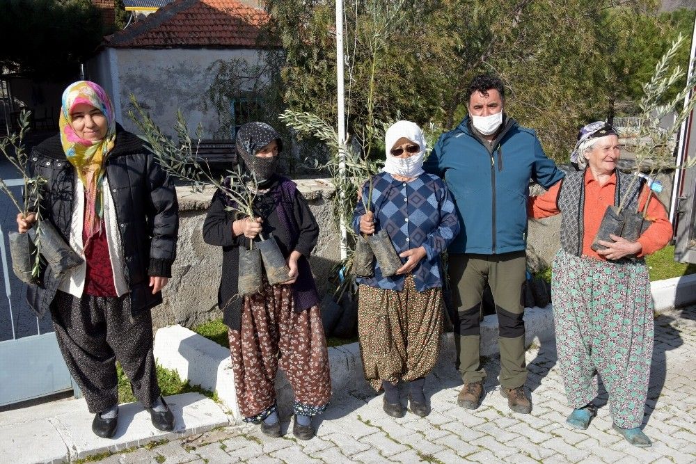 Aliağa'da zeytin şöleni sürüyor