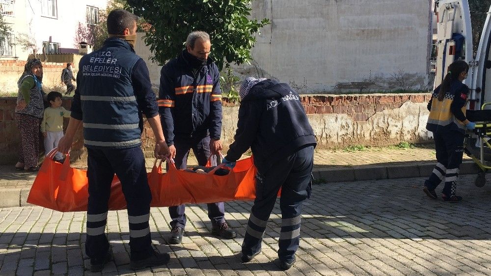 Arkadaşı ile çatıya çıkan genç kız aşağıya atladı
