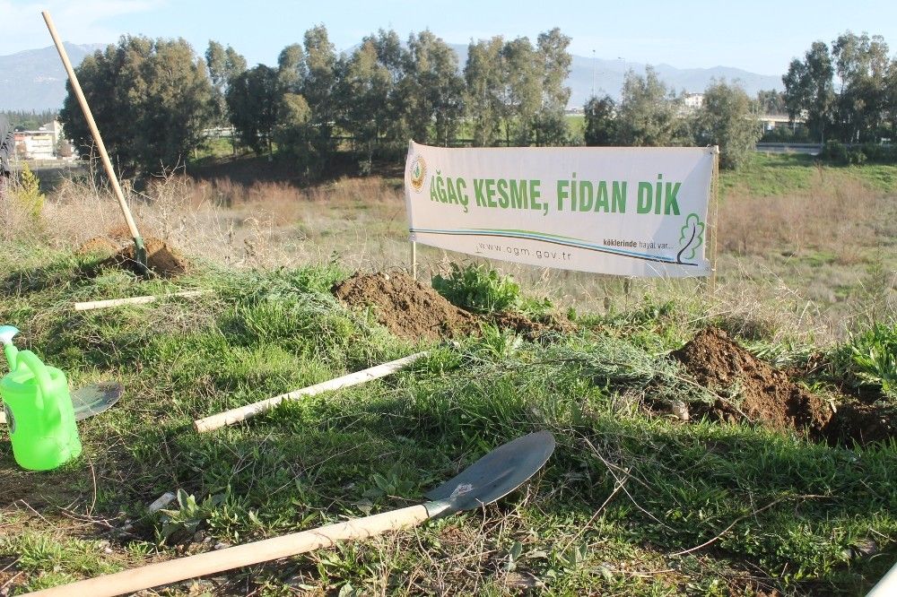 Aydın'da, 112 fidan toprakla buluştu