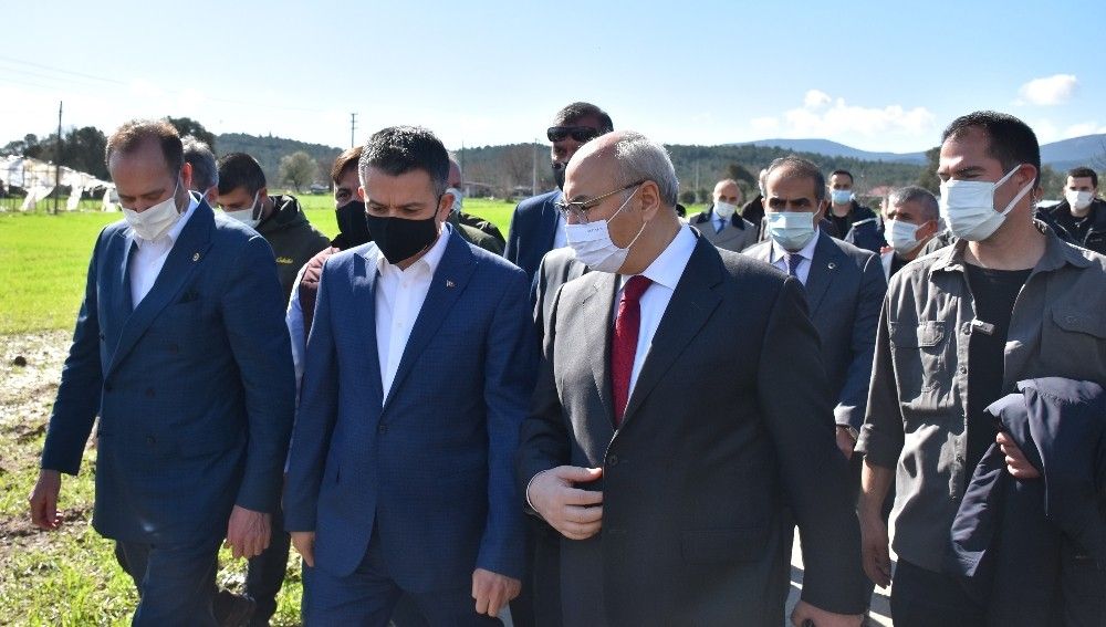 Bakan Pakdemirli'den doludan zarar gören çiftçilere ziyaret