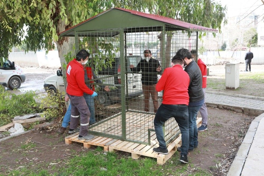 Bayraklı Belediyesi'nden patili dostlara yeni yuva