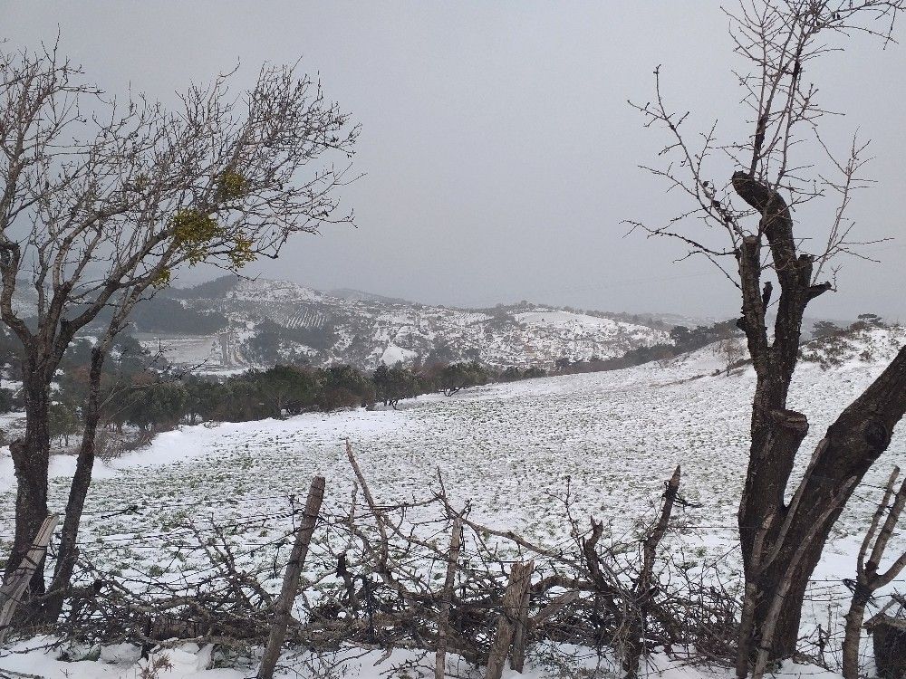 Bergama beyaza büründü