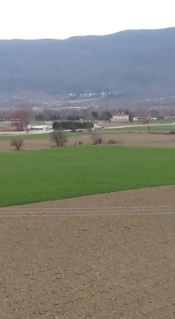 Bolu'da, köpeğe tecavüz ederken suçüstü yakalanan şahsa 15 bin lira ceza
