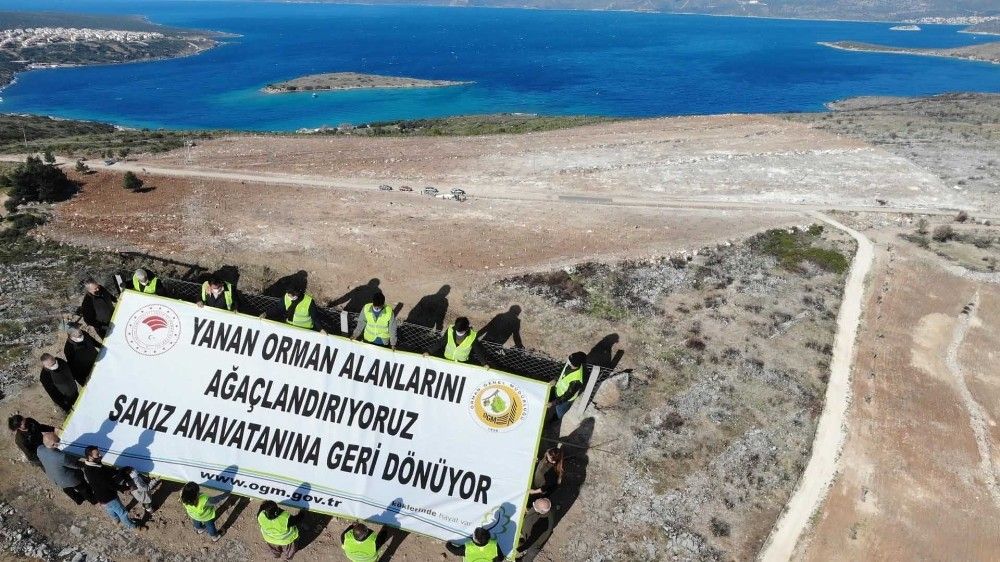 Çeşme'de yanan orman alanına 5 bin sakız fidanı