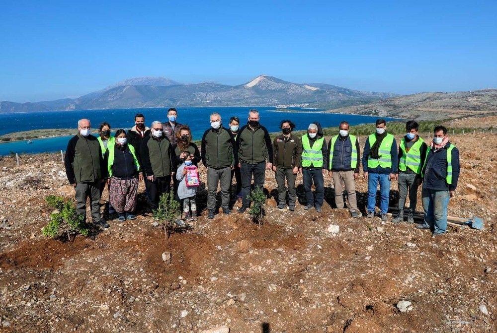 Çeşme'de yanan orman alanına 5 bin sakız fidanı