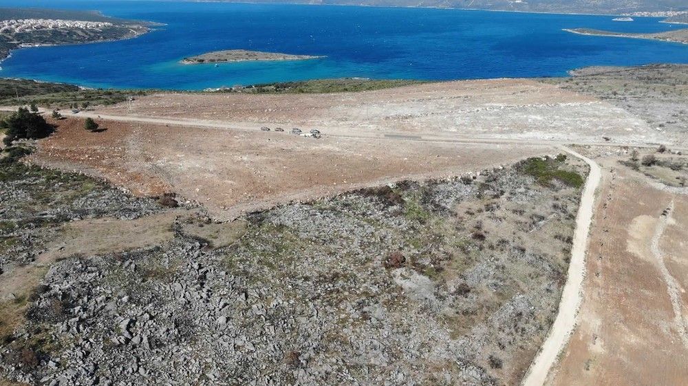 Çeşme'de yanan orman alanına 5 bin sakız fidanı