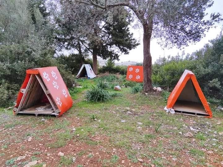 Didim'de, patili dostlara kulübe