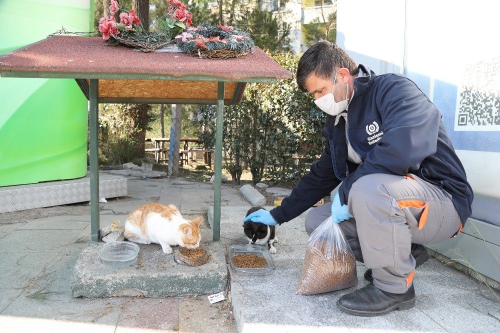 Gaziemir'de can dostlar emin ellerde