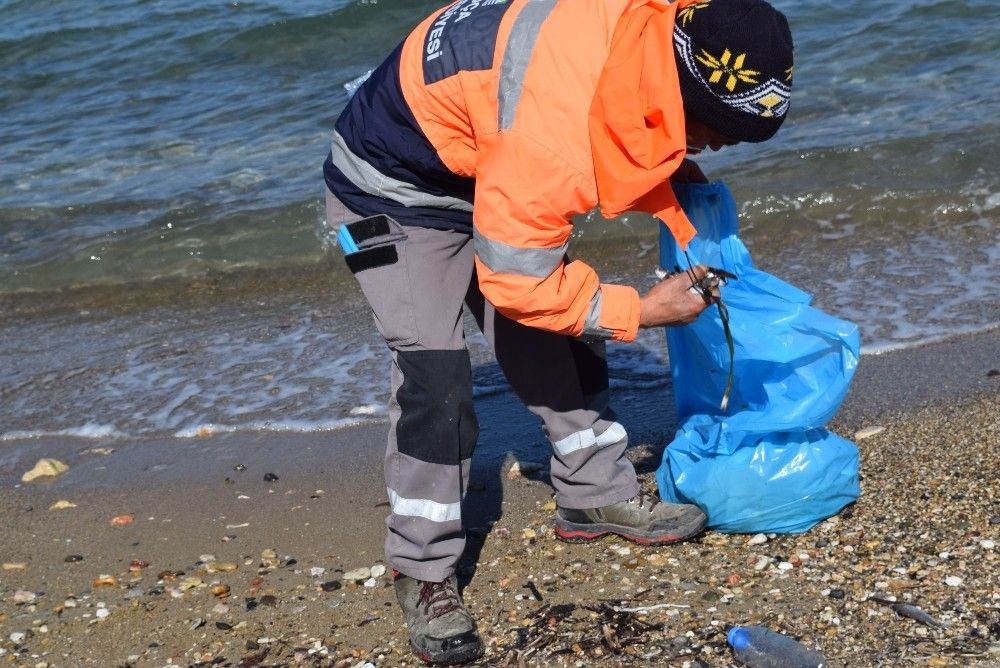 İzmir'de ölü balıklar kıyıya vurdu