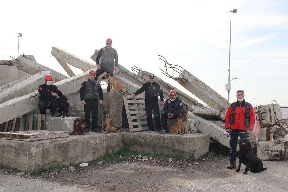 İzmir'in cesur köpekleri