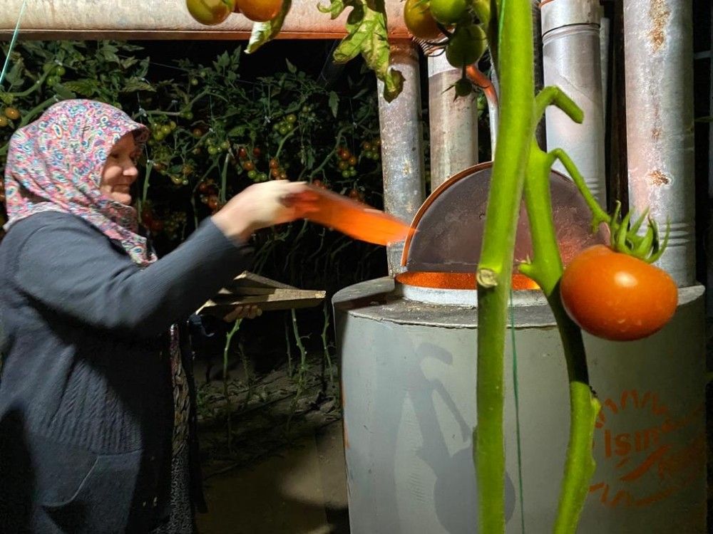 Kadın çiftçilerin zorlu zirai don nöbeti