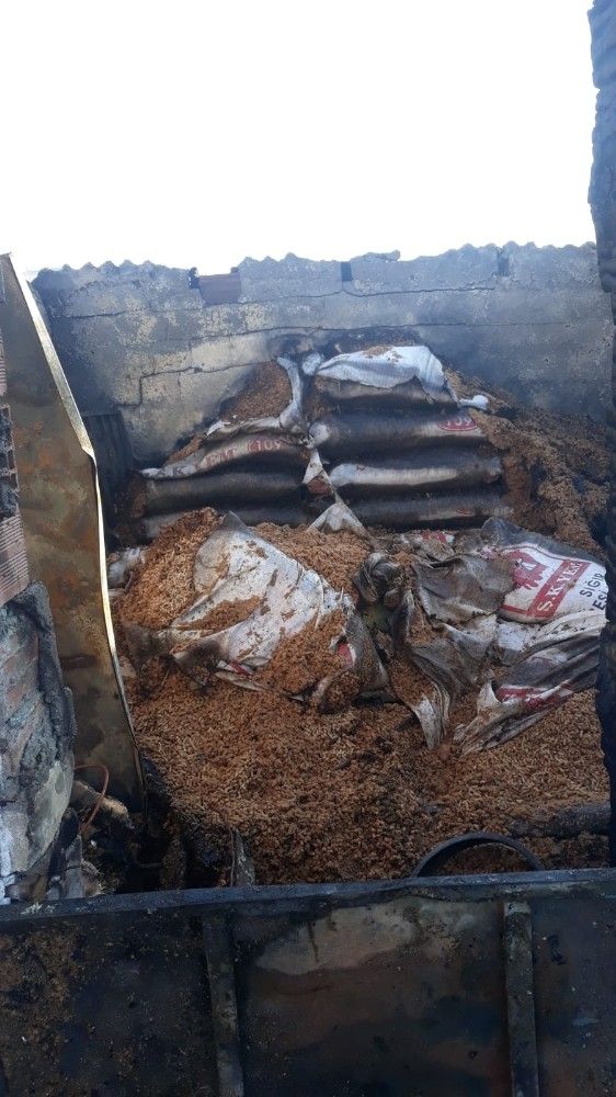 Koyunları yanan Ayşe Teyzenin gözyaşları yürekleri burktu