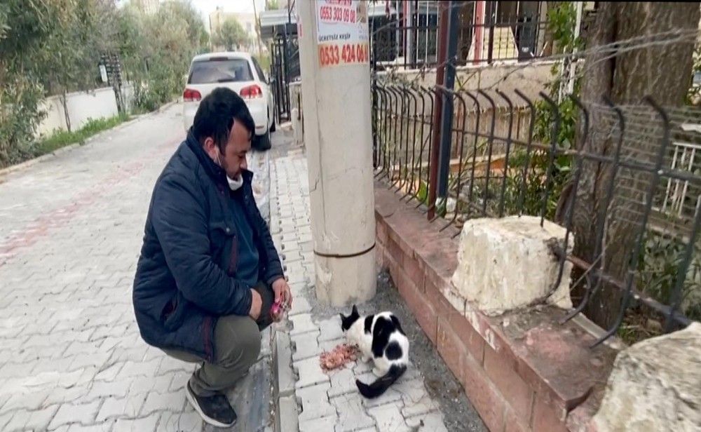 Kuşadası'nda kedi kurtarma operasyonu