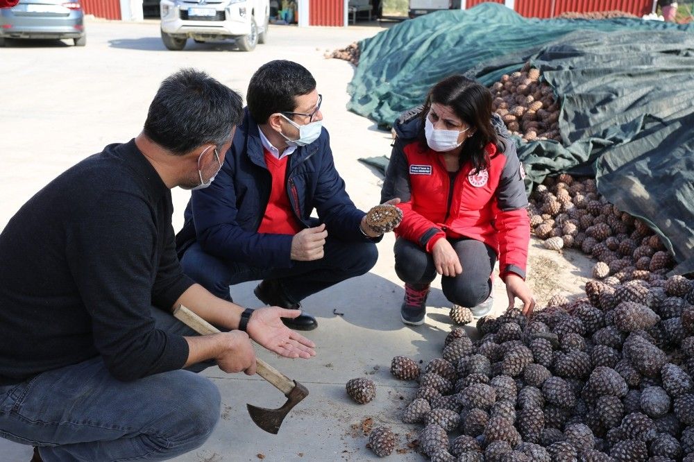 Pandemide tarımsal üretim arttı