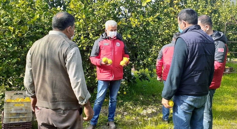 Pandemide tarımsal üretim arttı