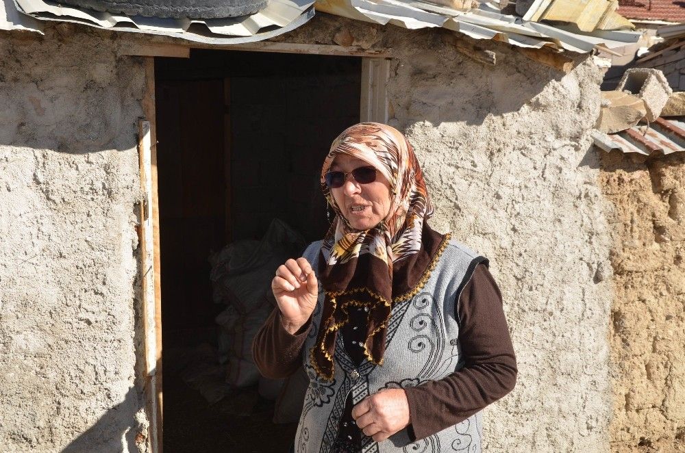 Şehit oğlunun adını verdiği kuzu çalındı