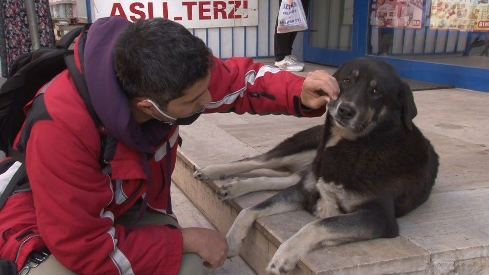 Sokak köpeklerini sinirlendirip kendini ısırttırıyor