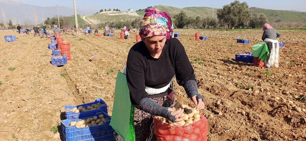 Üretici maliyetten, tüketici komisyoncudan şikayetçi