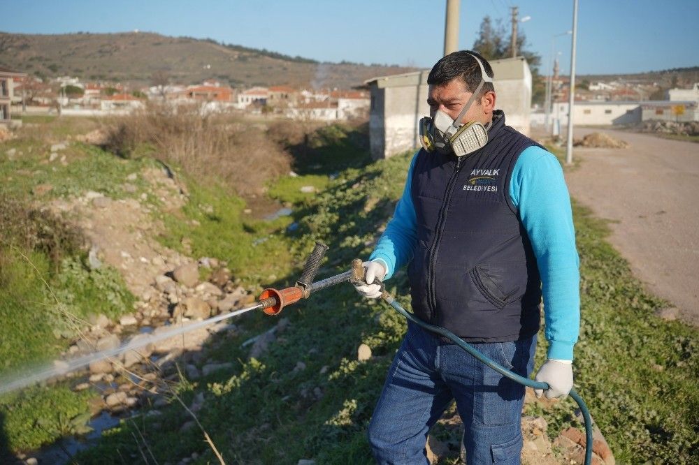 Ayvalık'ta sivrisinekle 365 gün mücadele