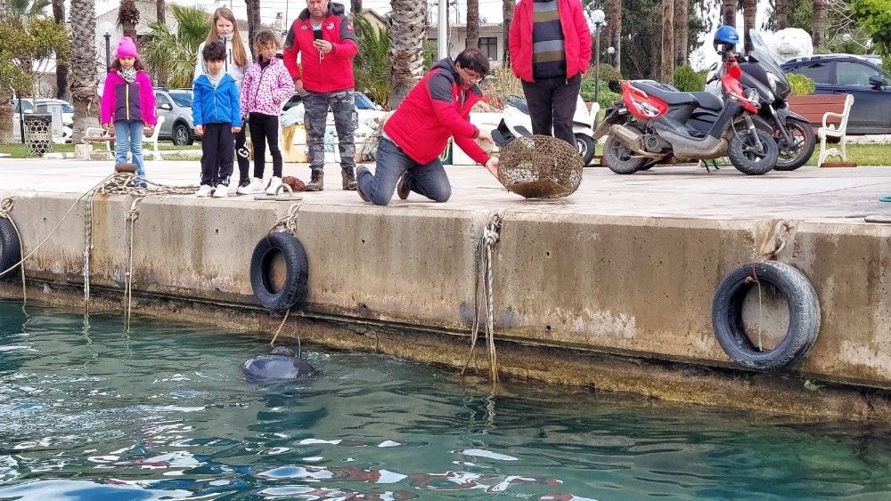 Datça'daki 4 limanda dip temizliği yapıldı