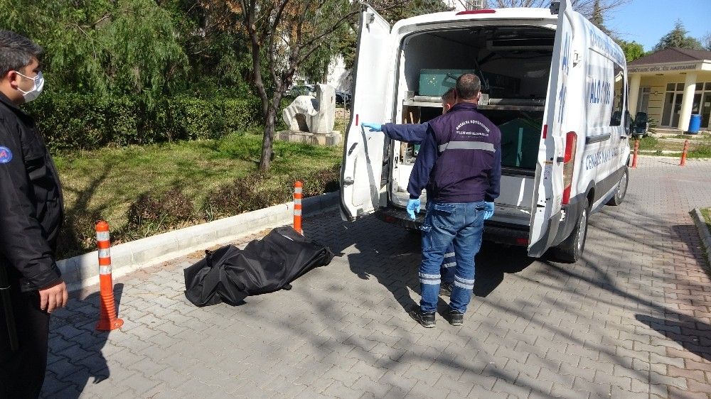 Hastane bahçesinde insan kafatası!