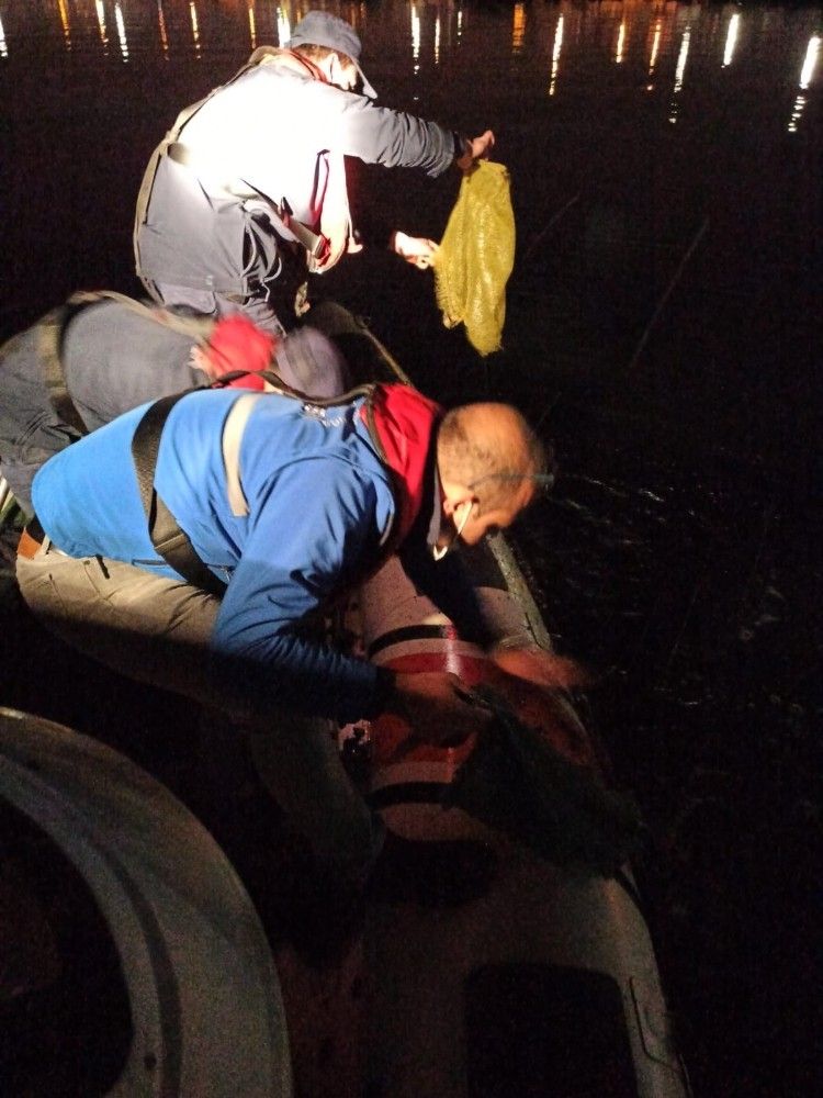 İzmir'de 1 ton deniz patlıcanı ve 1 ton akivades ele geçirildi