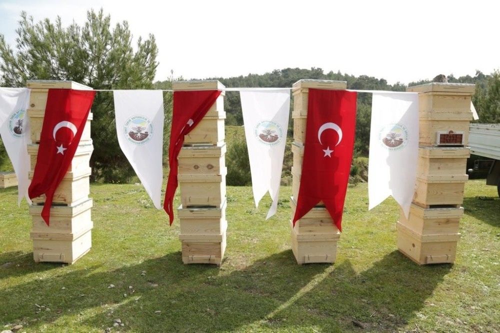 İzmir'de 100 Roman kadına, 1000 arı kovanı
