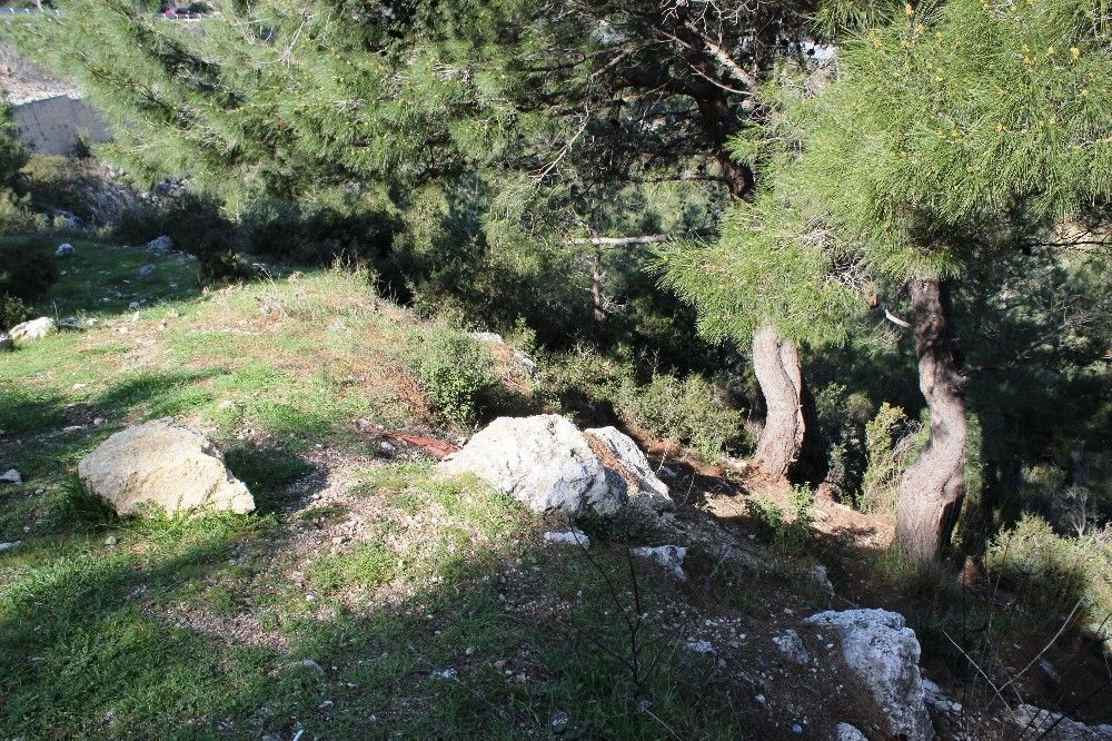 İzmir'de kafatası ve kemik parçaları bulundu