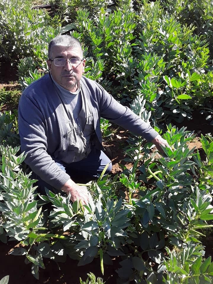 Kış ürünü bakla Ödemiş pazarında
