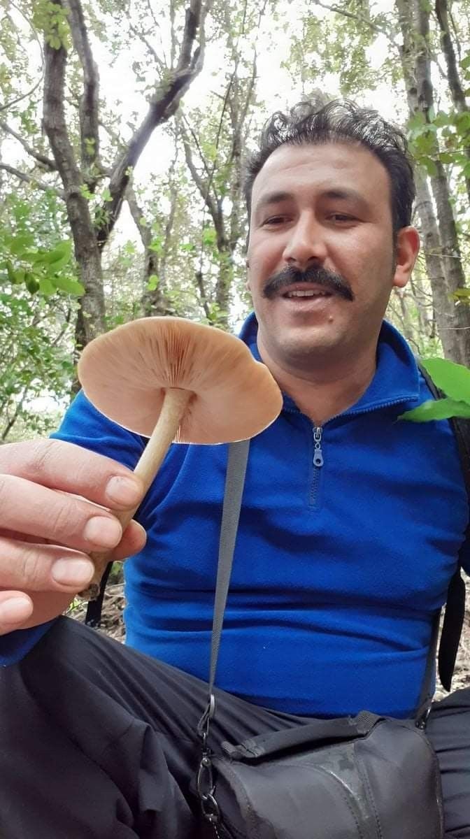 Kuşadası'nı yeni bir mantar türü daha bulundu