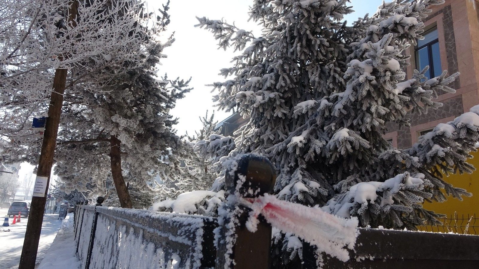 Sibirya gibi: Eksi 22 derece