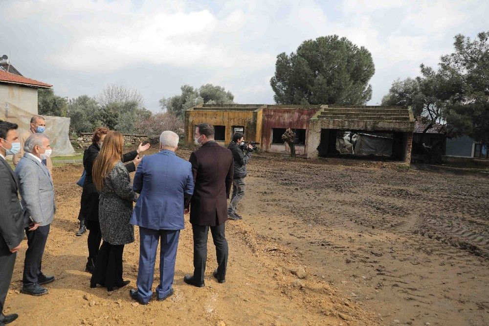 Üniversite kanatlı hayvan çiftliği kuruyor