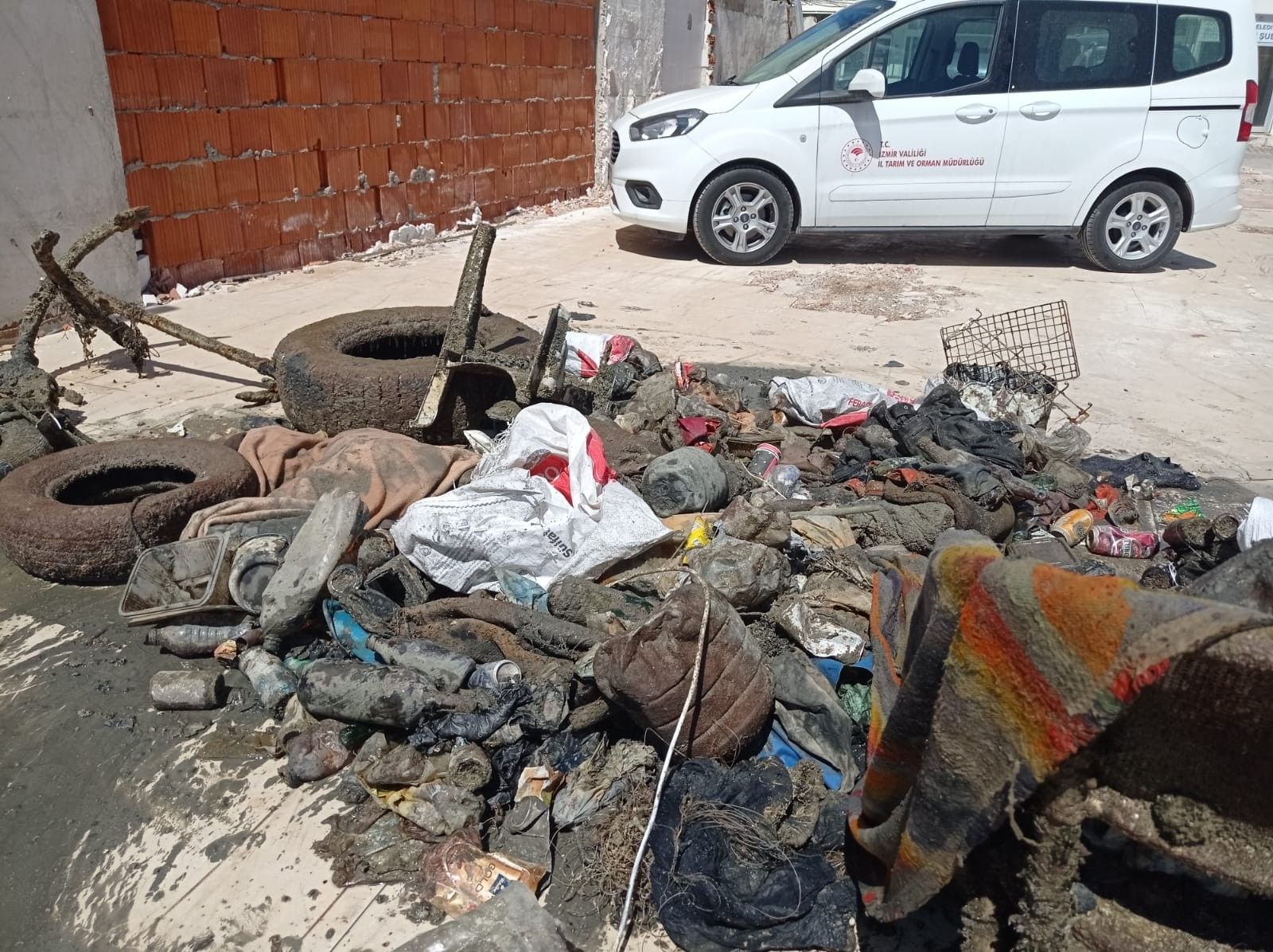 Çeşme Dalyan'daki denizden bunlar çıktı