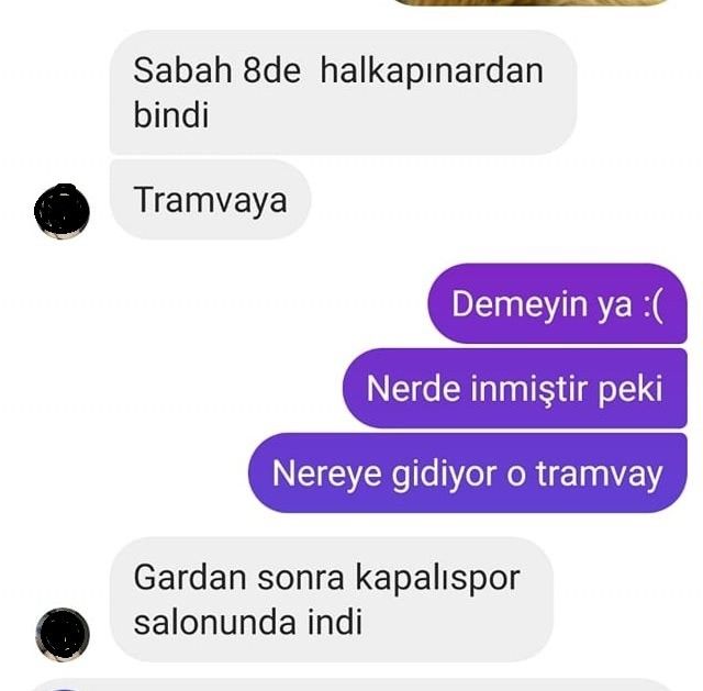 İzmir'i toplu ulaşımla gezen köpek: Sam